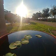 Nelumbo Petit Chalet