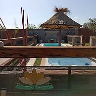 Nelumbo Petit Chalet