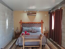 Nelumbo Petit Chalet