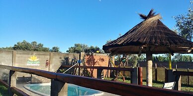 Nelumbo Petit Chalet