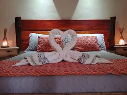 Nelumbo Petit Chalet