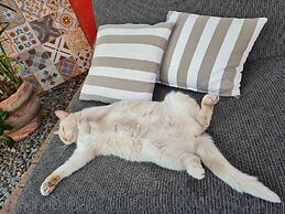 El Nomada Hotel & Hostel