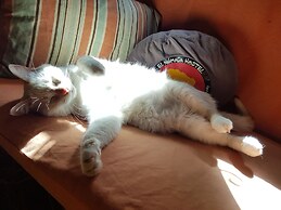 El Nomada Hotel & Hostel