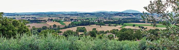Agriturismo la Palazzetta di Assisi