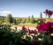 Hotel zum Ochsen Schönwald