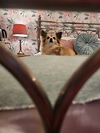 All Seasons Boutique Hotels