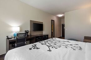Sleep Inn & Suites Tampa South