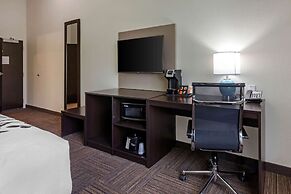 Sleep Inn & Suites Tampa South