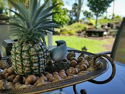 Hilltop Vacation Rental