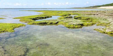 comfort stay GOYUKKURI