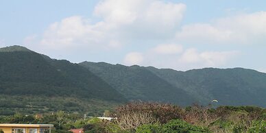 Painushima Resort Coral Fish