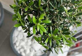 Acropolis View Deluxe Penthouse & Luxury Apartments