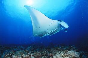 Pension New Hamanoso