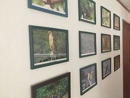 Pension New Hamanoso