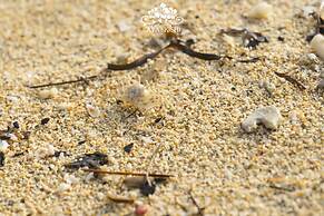 Ocean Villa Tin Gala