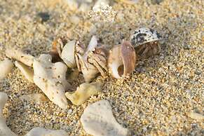 Ocean Villa Tin Gala