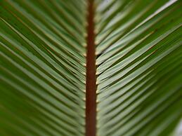 Ocean Villa Tin Gala