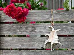 Ocean Villa Tin Gala