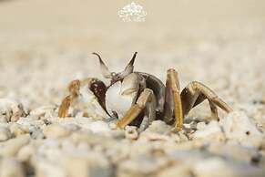 Ocean Villa Tin Gala