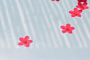 Hermit Hills Okimawa ~with COLORS~