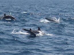 Casa Florinda Tarifa