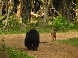 Wilpattu Tree House Hotel