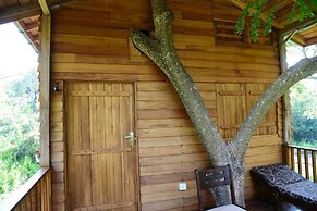 Wilpattu Tree House Hotel