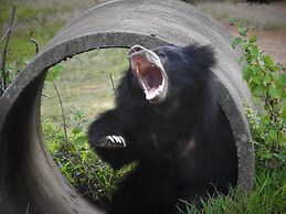 Wilpattu Tree House Hotel