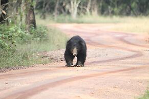 Wilpattu Tree House Hotel