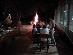 Wilpattu Tree House Hotel