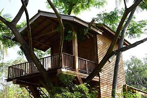 Wilpattu Tree House Hotel