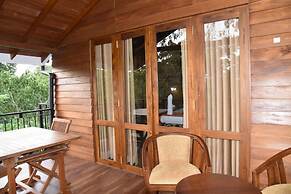 Wilpattu Tree House Hotel