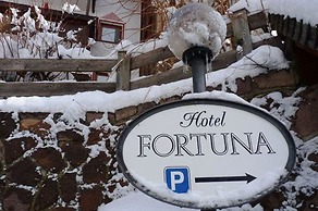 Hotel Fortuna