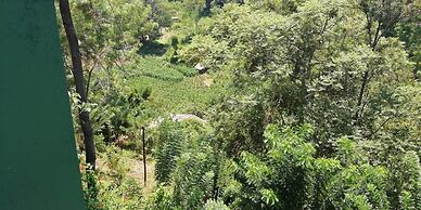 Ella Viyanga Homestay