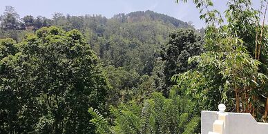 Ella Viyanga Homestay