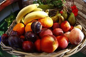 Summer Hostel Cádiz