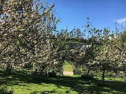 Cotswolds Camping at Holycombe