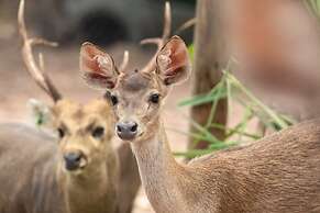 Ratchapruek Lanna Boutique