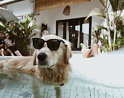 Clandestino - Hostel