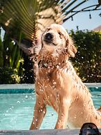 Clandestino - Hostel