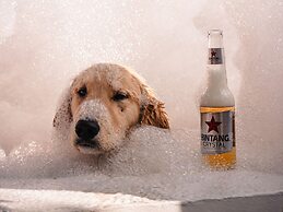 Clandestino - Hostel