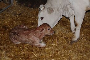 Agriturismo Casale dei Frontini