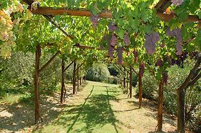 Agriturismo Casale dei Frontini