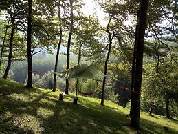 dtente sky lodge