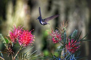 Canto Bella Terra Pousada