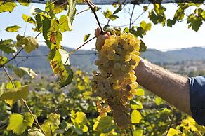 Agriturismo I Comelli