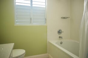 Jamaica Shades at Cool Shades