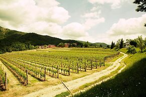 L'Uva e le stelle
