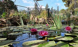 Amiad Country Lodging