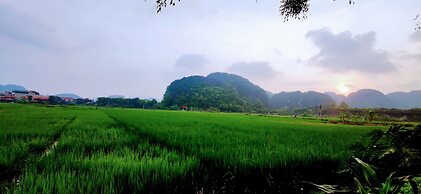 Tam Coc Eco Field Homes